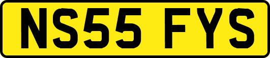 NS55FYS