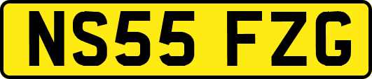 NS55FZG