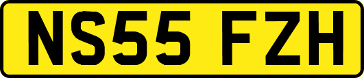 NS55FZH