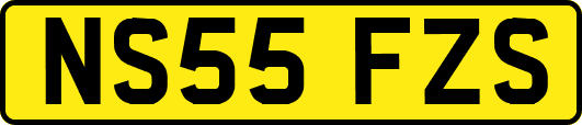 NS55FZS