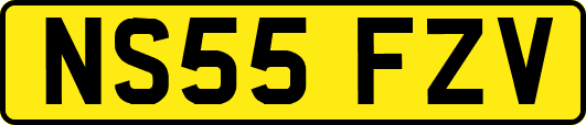 NS55FZV