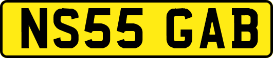 NS55GAB