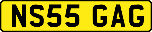 NS55GAG