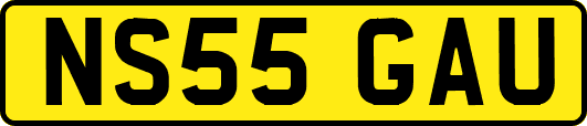 NS55GAU