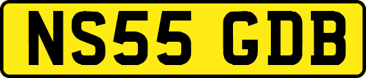 NS55GDB