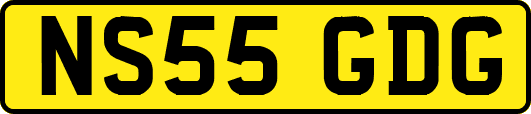 NS55GDG