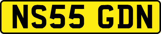 NS55GDN
