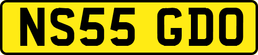 NS55GDO
