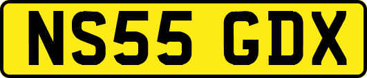 NS55GDX