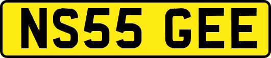 NS55GEE