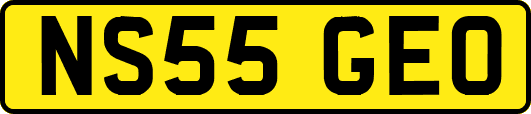 NS55GEO
