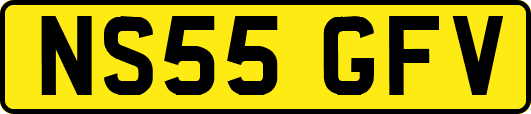 NS55GFV