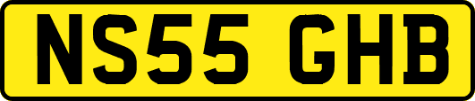 NS55GHB