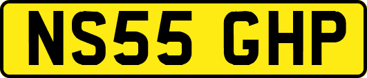 NS55GHP