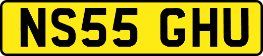 NS55GHU