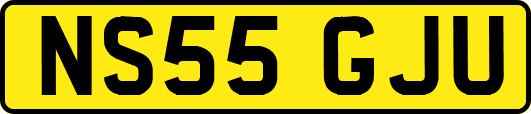NS55GJU