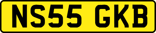 NS55GKB