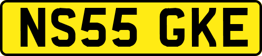 NS55GKE