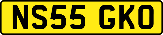 NS55GKO