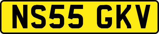 NS55GKV