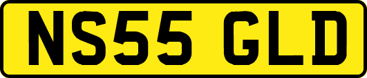 NS55GLD