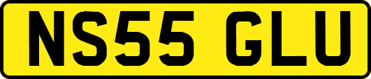 NS55GLU