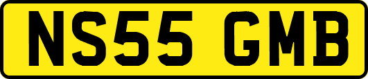 NS55GMB