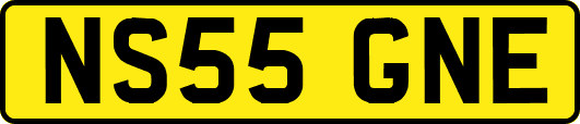 NS55GNE