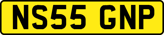 NS55GNP