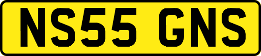 NS55GNS