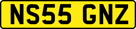 NS55GNZ