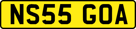 NS55GOA