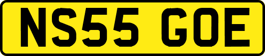 NS55GOE