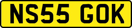 NS55GOK