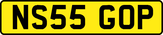 NS55GOP