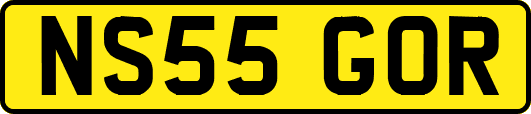 NS55GOR