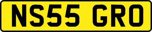 NS55GRO