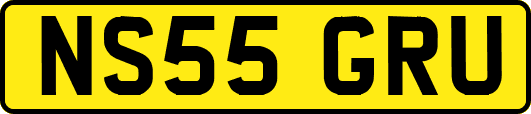 NS55GRU