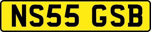 NS55GSB