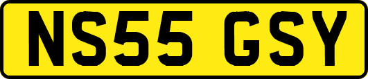 NS55GSY