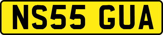 NS55GUA