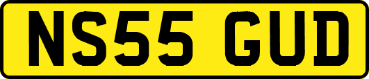 NS55GUD