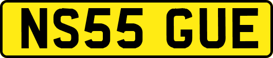 NS55GUE