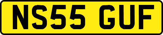 NS55GUF