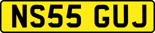 NS55GUJ