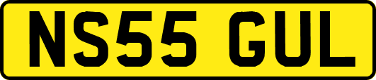 NS55GUL