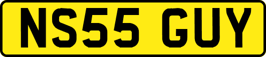 NS55GUY