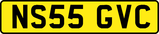 NS55GVC