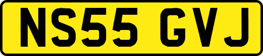 NS55GVJ