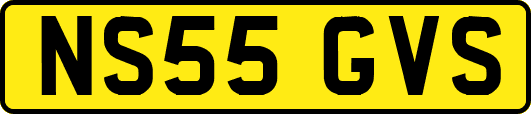 NS55GVS